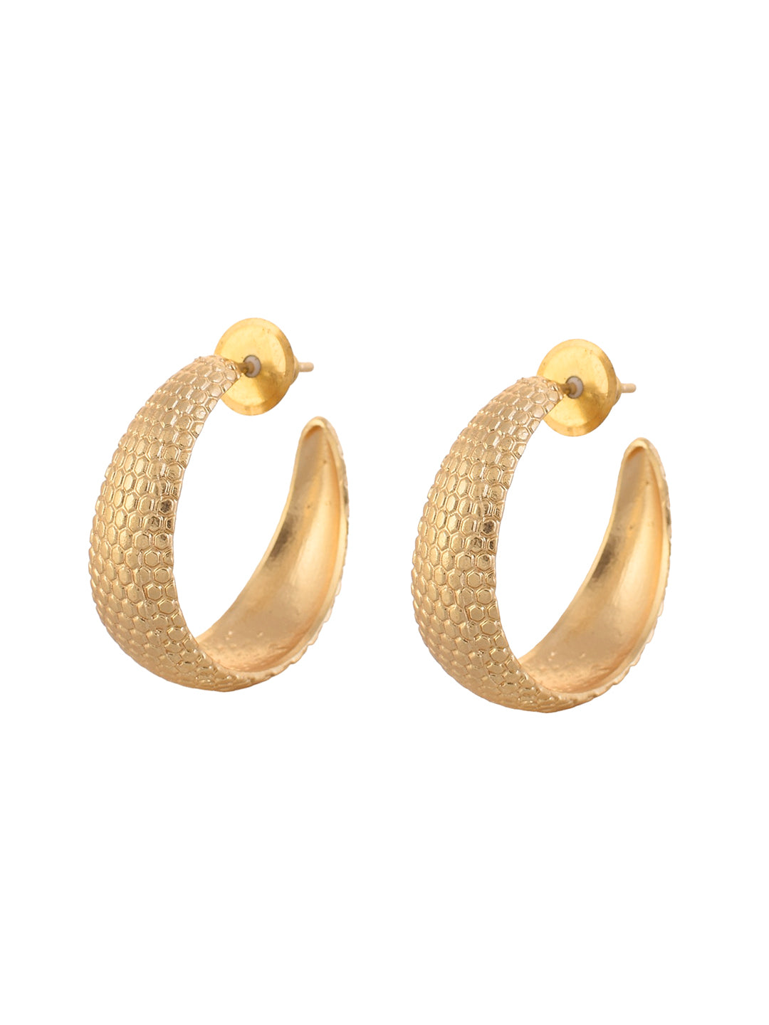 Snake Texture Hoops